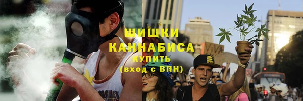 прущие крисы Ельня
