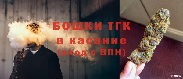 прущие крисы Ельня