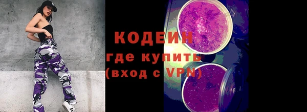 прущие крисы Ельня
