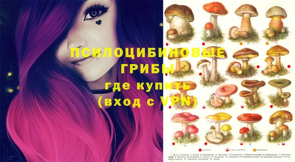 прущие крисы Елизово