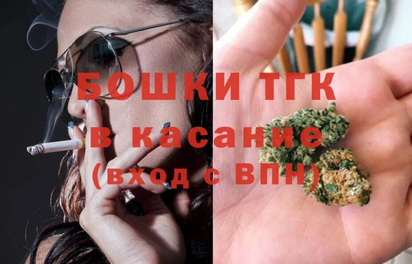 прущие крисы Ельня