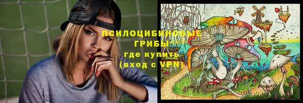 прущие крисы Елизово