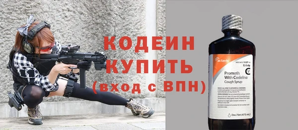 прущие крисы Ельня
