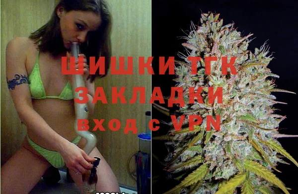 прущие крисы Ельня