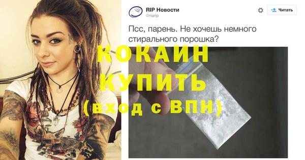прущие крисы Ельня