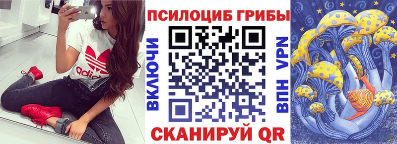 Купить закладки  Мценск  Галлюциногенные грибы мицелий 